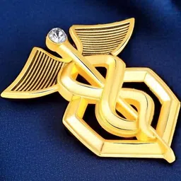 Mahi Unisex Gold-Plated Alloy Lapel Pin-picture-10