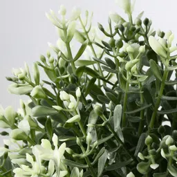 paperi White 4 Pieces Artificial Plants With Pots image 4