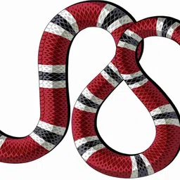 a1graphix Sticker & Decal for Car-picture-35