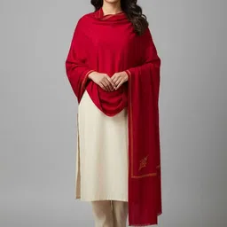 Vrinde Women Floral Embroidered Pashmina Shawl-picture-27