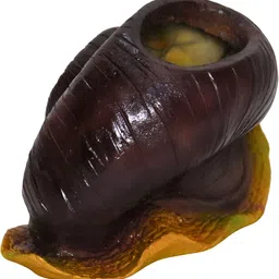 MISS PEACH Brown & Green Snail Figurine Showpiece image 2