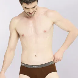 VIP Pack Of 4 Assorted Cotton Mid-Rise Basic Briefs VP-MI-BF-FRESH-1P-IN-PO4-80 image 3