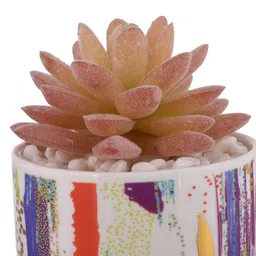 Myntra Elegant Homes Pink & White Succulent Artificial Plant With Pot image 5