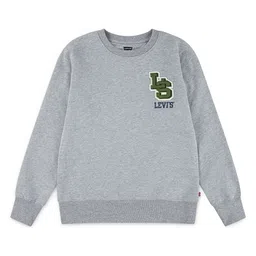 Levis Boys Brand Logo Printed Cotton Tshirts-picture-48