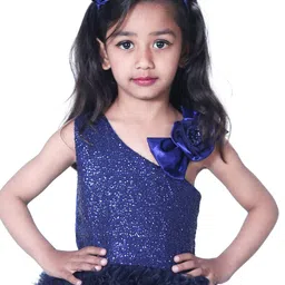 Wish little Girls Net Embellished Fit and Flare Dress image 2