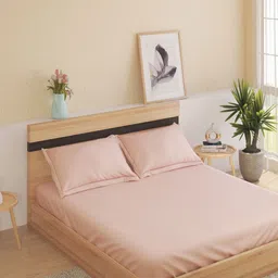 Home Centre Peach-Coloured 210 TC King Bedsheet with 2 Pillow Covers-picture-12