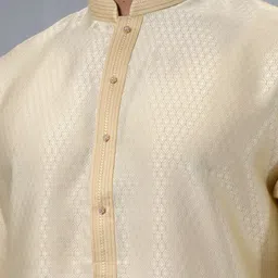 azania Floral Woven Design Thread Work Mandarin Collar Straight Kurta with Pyjamas image 2