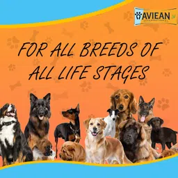 aviean international Dog Adult Biscuits Combo Offer (0.6 KG+0.6 KG) Crunchy Treats Chicken 1 kg (2x0.5 kg) Dry New Born, Senior Dog Food image 4