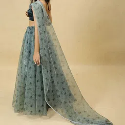 PURI MAA Floral Printed Semi-Stitched Organza Lehenga & Blouse With Dupatta image 3