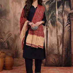 Sangria Ethnic Motifs Woven Design Pure Wool Ethnic Shawl with Fringed Border image 4