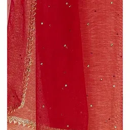 Avantrys Women Maroon Stone Sequins Embroidered Nylon Dupatta image 3