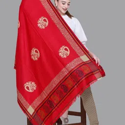 Tones-N-Shades Ethnic Motifs Woven Design Shawl image 3