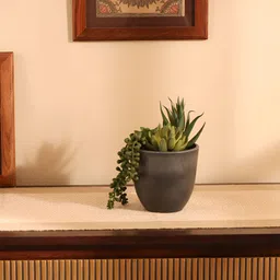 Elemntl Green & Black Succulent Artificial Plant image 4