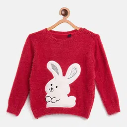 JWAAQ Girls Animal Pullover with Applique Detail-picture-0