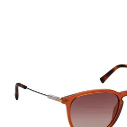 Timberland Men Round UV Protected Lens Sunglasses image 2