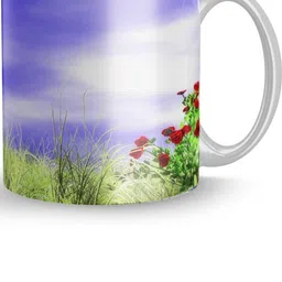 Gift4You Ceramic Cups-picture-28