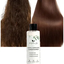 The Wellness Shop Quinoa & Purple Rice Conditioner For Damage Control - 200ml image 4