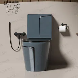 brizenta 21009 Ceramic Slate Grey commode with Black Line Finishing 21009 Western Commode image 2