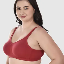 dressberry Pack of 2 Women Full Coverage Non Padded Bra image 3