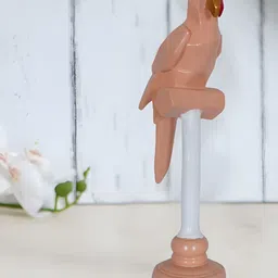 Zart Brown Idol Showpiece-picture-20