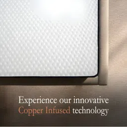 Wakeup India White & Blue Quilted Cotton Orthopedic Single Mattress image 3