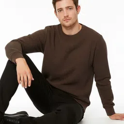 Octave Men Sweatshirt image 4