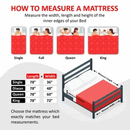 coirfit Biolife Ltx Indonesian With Herbfresh Technology - Single image 5