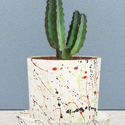 LASAKI Sara White & Red Printed Ceramic Handmade Planter With Plate image 2