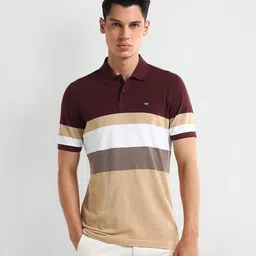 arrow Men Striped Regular Fit Cotton Polo T-Shirt image 5