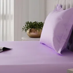 Stoa Paris Date Night 300 TC Single Fitted sheet With 1 Pillow Cover image 5