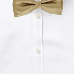 Alvaro Castagnino Men Beige Bow Tie image 4