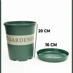Kuber Industries Novelty Plant Pot With Tray image 5