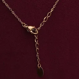 PALMONAS Stainless Steel Gold-Plated Cubic Zirconia Necklace image 3