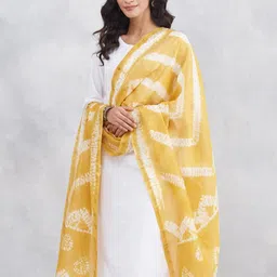 Fabindia Geometric Dyed Cotton Silk Dupatta image 3