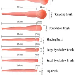 zozotrader5 india hairgro Set Of 8 Makeup Brush Set image 3