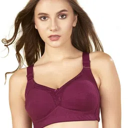 bluenixie Women Full Coverage Non Padded Bra-picture-29