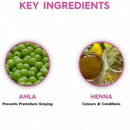 Sterling Naturals Set Of 12 Herbal Henna Based Hair Color - 15 g Each - Brown image 3