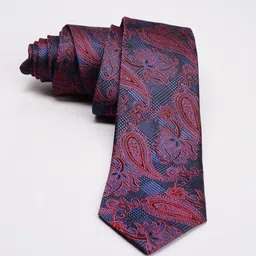 Peter England Men  Ties image 1