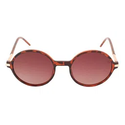 GIO COLLECTION Unisex Round Sunglasses with Polarised Lens GL5001C.10BRW_TA-picture-13