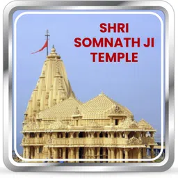 BIS Hallmarked Shree Somnath Ji Temple (SMN-20G600) S 999 20 g Silver Coin-image-28