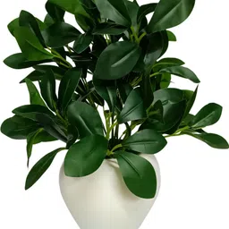 Rubber Plant in White Apple Pot for Home and Office Decor Plants for Decoration Artificial Plant with Pot-image-10