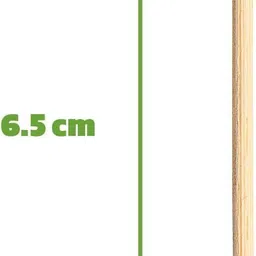 fanqew Toothpick Holder image 2