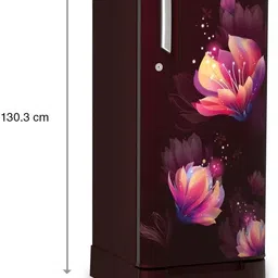 whirlpool 184 L Direct Cool Single Door 2 Star Refrigerator image 4