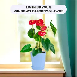 Kuber Industries Blue & Peach 18 Pieces Marble Finish Planters With Tray image 4