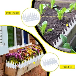 plastkart Bird Spike image 4