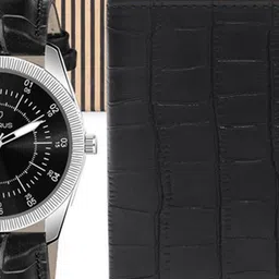 Walrus Men Accessory Gift Set image 4