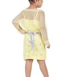 BAESD Girls Net Embellished Sequined A-Line Dress image 5