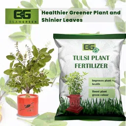 elamgreen Organic Tulsi Fertilizer | Strong Roots & Lush Green Leaves Fertilizer-picture-16