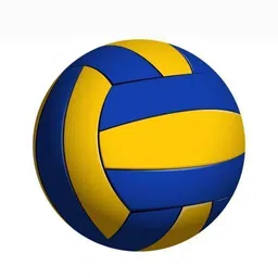 singhalss Volleyball - Size: 4 (Pack of 1) Volleyball - Size: 5-picture-32