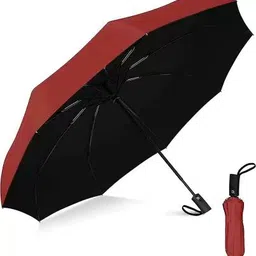 cairoman 2 fold Auto Open Polyester Men/Women UV Protection Monsoon/Rainy & Sun Umbrella Umbrella-picture-27